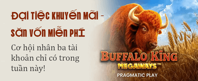 Chào mừng đến với 32vin banner